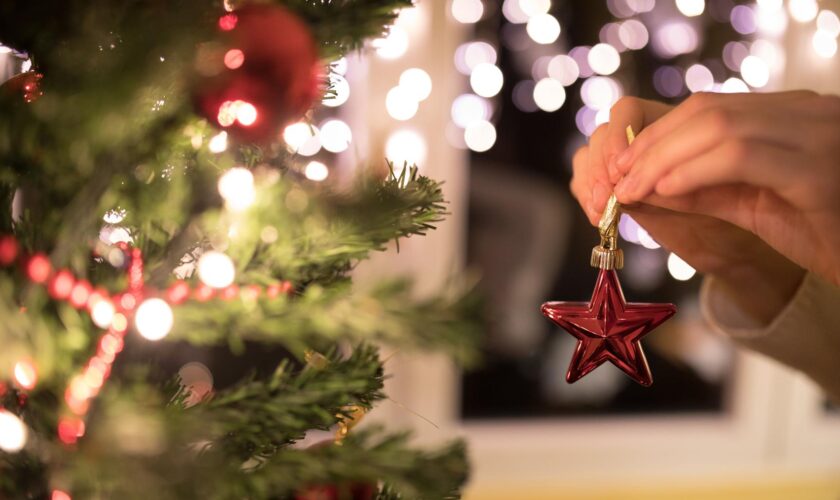 En Belgique, la ville de Gand invite les habitants à manger leur sapin de Noël et se fait recadrer