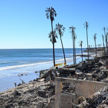 Incendies à Los Angeles : le bilan passe à 24 morts, des vents violents menacent d’attiser les feux