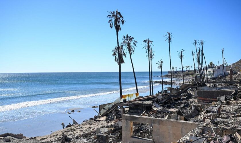 Incendies à Los Angeles : le bilan passe à 24 morts, des vents violents menacent d’attiser les feux