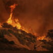 Incendies à Los Angeles : un phénomène naturel aggrave la situation, le bilan grimpe à 24 morts