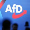 Wahlkampf: Kriminalpolizei ermittelt gegen AfD wegen « Abschiebetickets »