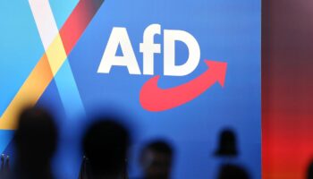 Wahlkampf: Kriminalpolizei ermittelt gegen AfD wegen « Abschiebetickets »