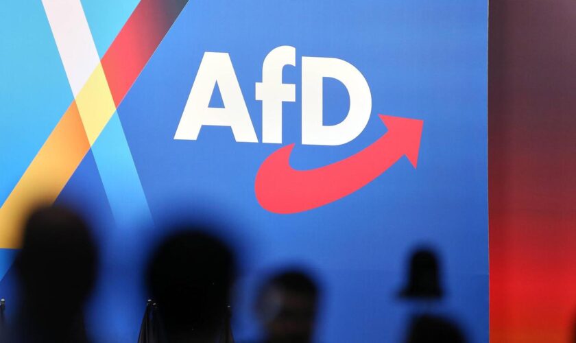 Wahlkampf: Kriminalpolizei ermittelt gegen AfD wegen « Abschiebetickets »