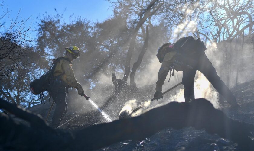 Incendies à Los Angeles : le retour du vent fait craindre de nouveaux départs de feux