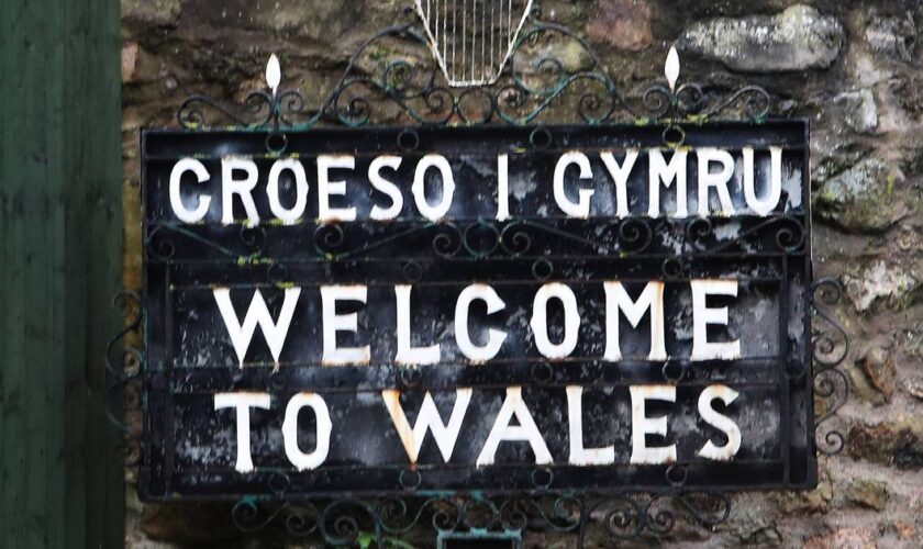 Tourists will be charged for visiting Wales but one group should be exempt, say experts