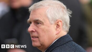 Campaign group report Prince Andrew to police over ‘false’ business name claim