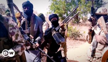 Nigeria: Farmers killed in suspected Boko Haram attack