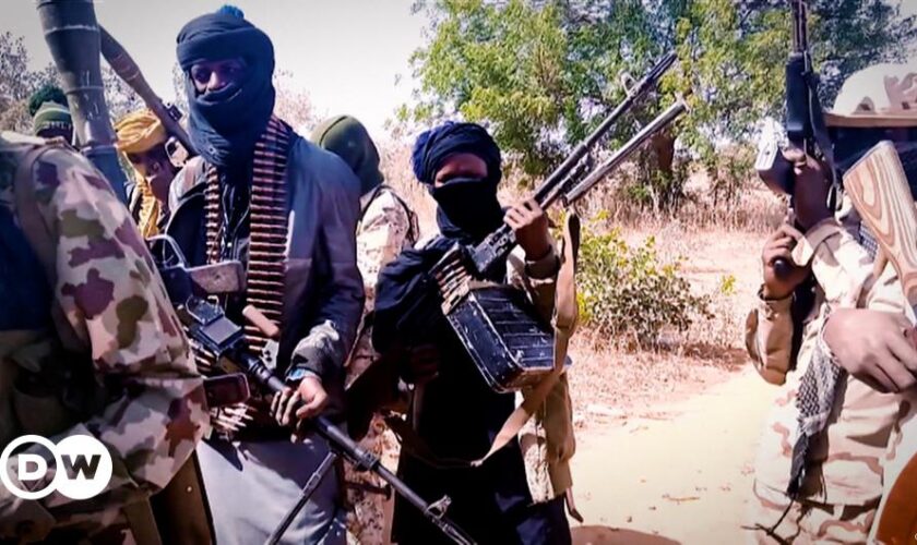 Nigeria: Farmers killed in suspected Boko Haram attack