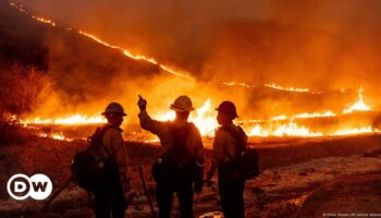 Waldbrände in L.A. könnten teuerste Naturkatastrophe der US-Geschichte werden