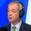 Nigel Farage attacks US politicians for glorifying ‘criminal’ Tommy Robinson and refuses to endorse far-right thug – but offers olive branch to Elon Musk