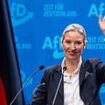 Germany’s AfD vows ‘total closure of borders for 100 days’ and ‘remigration’ that would see mass deportation of immigrants if the party is successful in forthcoming election