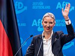 Germany’s AfD vows ‘total closure of borders for 100 days’ and ‘remigration’ that would see mass deportation of immigrants if the party is successful in forthcoming election