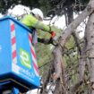 Tempête Floriane : encore « quelques centaines » de foyers privés de courant en Seine-et-Marne