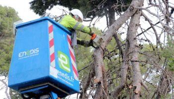 Tempête Floriane : encore « quelques centaines » de foyers privés de courant en Seine-et-Marne