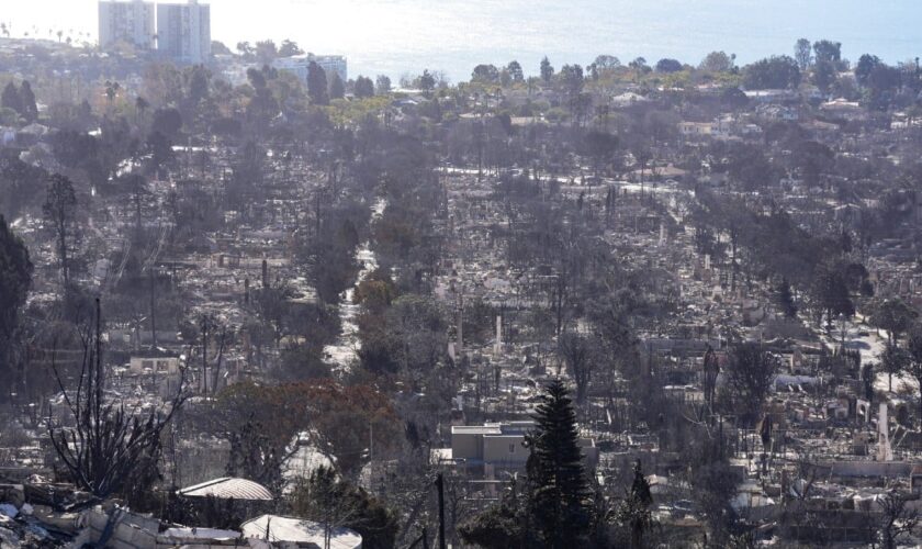 Incendies de Los Angeles: pour les pro-Trump, le coupable est tout trouvé, c’est la diversité