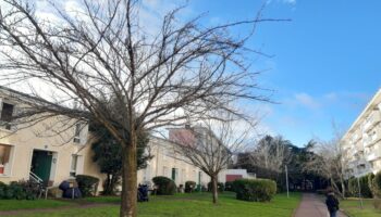 Ils ont découvert des erreurs dans le calcul des charges : à Sceaux, des locataires des Blagis se rebiffent