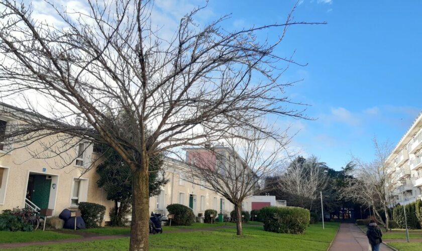 Ils ont découvert des erreurs dans le calcul des charges : à Sceaux, des locataires des Blagis se rebiffent