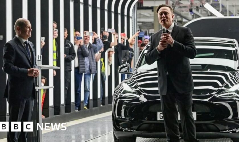 Europe leaders criticise Musk attacks