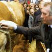 Crise agricole: François Bayrou temporise devant les syndicats avant le Salon de l’agriculture