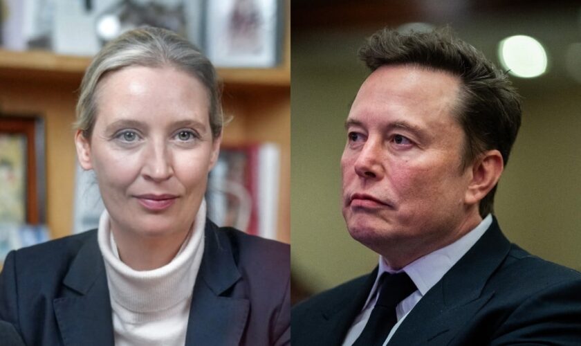 De Hitler aux Martiens, l’échange hallucinant entre Elon Musk et la cheffe de l’extrême droite allemande